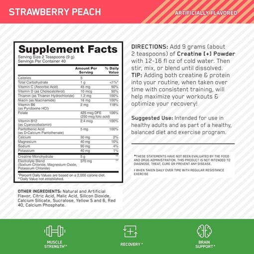 ON Creatine [+] 360g - Imagen 2
