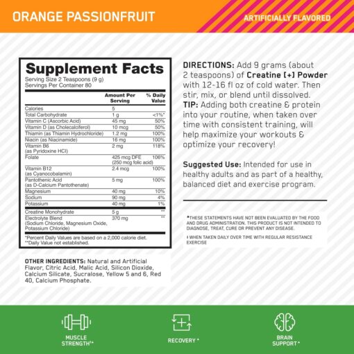 ON Creatine [+] 720g - Imagen 2